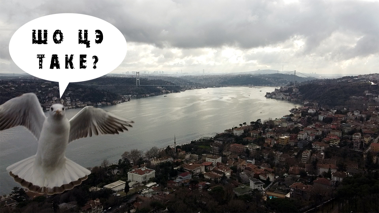 КвадроТурция | Чайки и дрон над Стамбулом ч.1