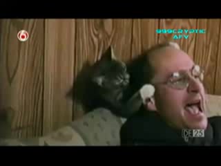 хулиганье хулиганье