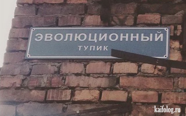 Объявления и надписи по-русски (40 фото) Объявления и надписи по-русски (40 фото)