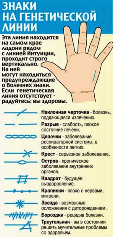 Как по линиям на руке прочитать свою судьбу Как по линиям на руке прочитать свою судьбу