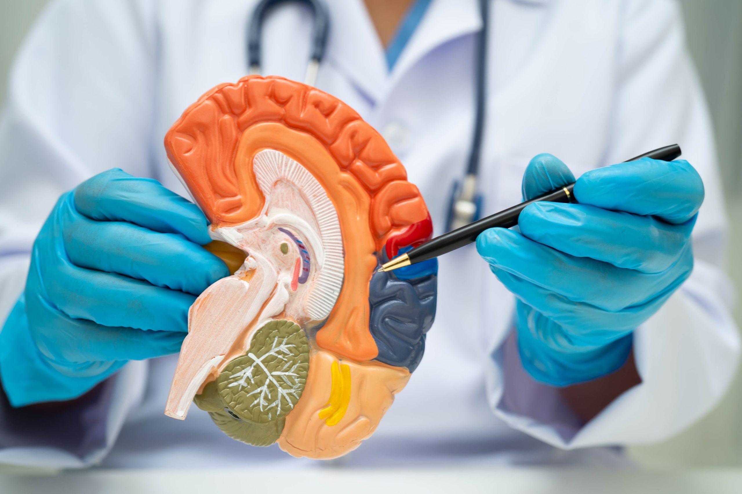 Neurology: плохое здоровье почек может влиять на риск развития деменции