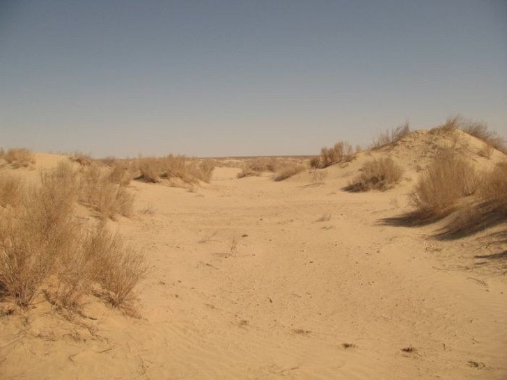 AralSea24 Трагедия Аральского моря