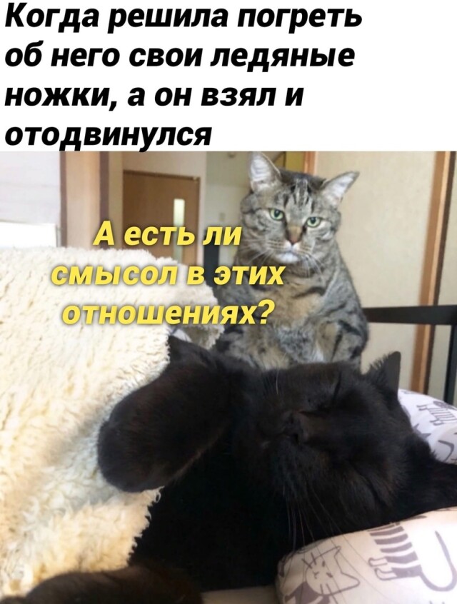 Прикольные мемы 