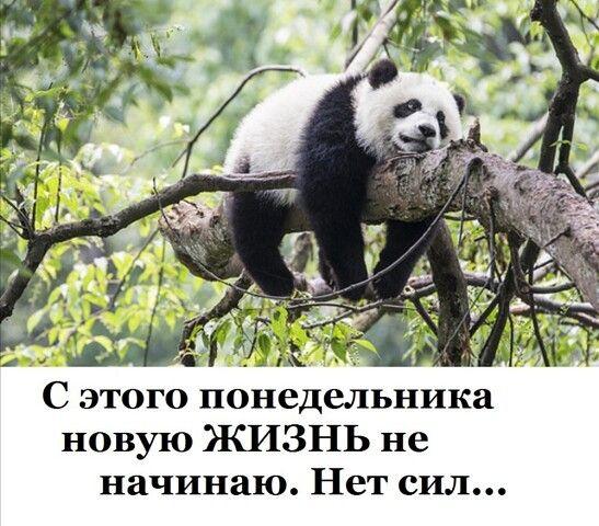 Свежие картинки с надписями 