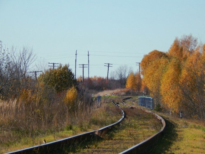 Провинциальная эстетика