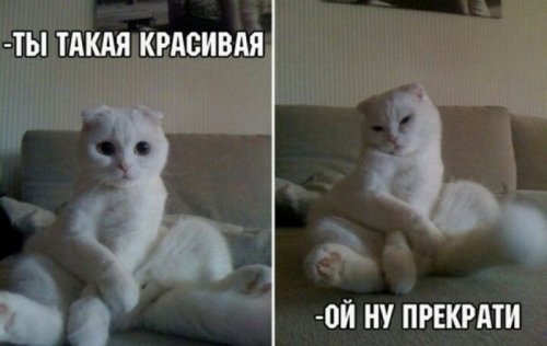 Прикольные и очень прикольные картинки (54 шт)