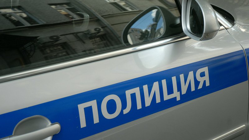 Петербургская полиция задержала «заминировавшую» метро «парк Победы» школьницу