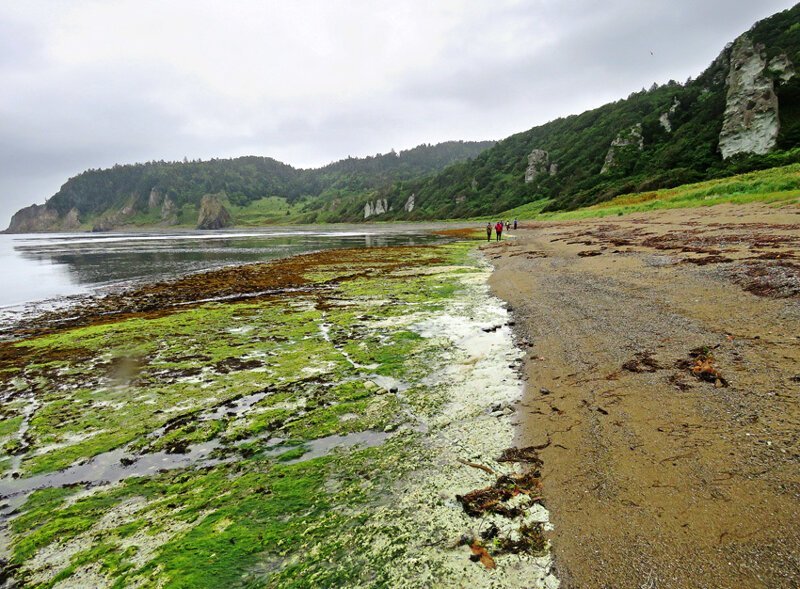 Кунашир: мыс Столбчатый Кунашир: мыс Столбчатый