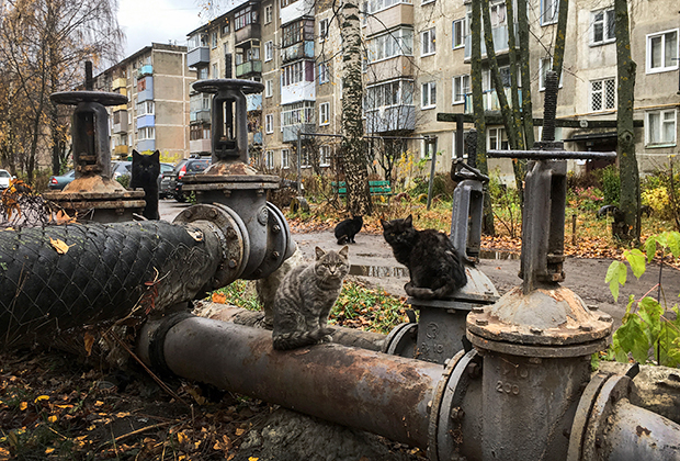 Это самый опасный город России. В нем творится беспредел, но жители не хотят его покидать ЖКХ,о недвижимости