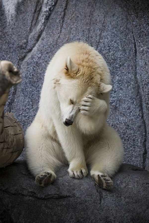 Давайте улыбаться вместе :)