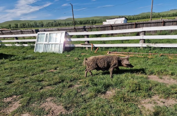 «Лучше бы однажды тряхануло». Как в Хакасии завершается пятилетка красного эксперимента «Лучше бы однажды тряхануло». Как в Хакасии завершается пятилетка красного эксперимента оружие,россия