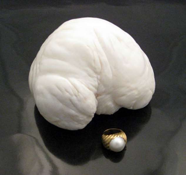 Сокровища, которые были найдены в очень странных местах Сокровища, которые были найдены в очень странных местах интересное,клады,происшествия,сокровища