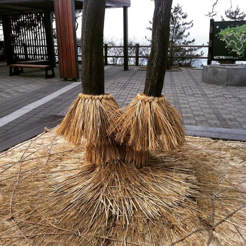 24 удивительные вещи из Южной Кореи, которые неплохо бы и у нас сделать 24 удивительные вещи из Южной Кореи, которые неплохо бы и у нас сделать