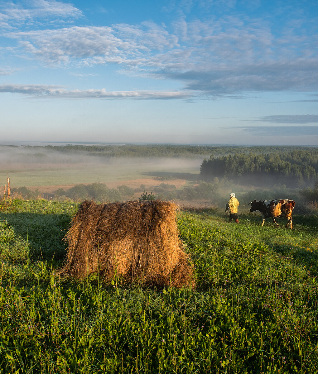 на рассвете в деревне.