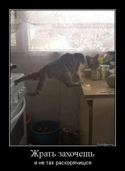 Демотиваторы-приколы (15 шт)