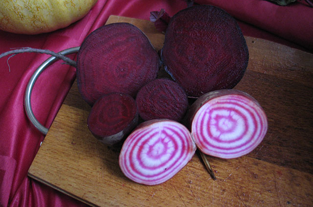 ‘Chioggia’.