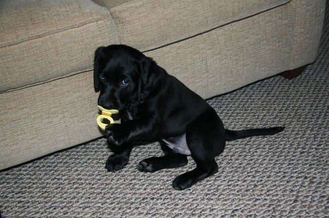 Давайте улыбаться вместе! :) (39улыбок)