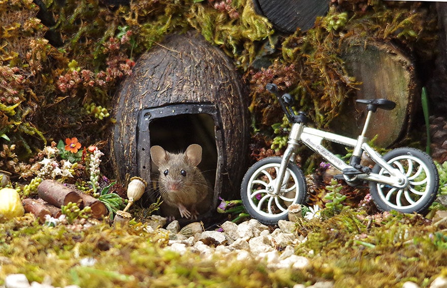 https://twizz.ru/wp-content/uploads/2018/11/miniature-mice-family-house-simon-dell-52.jpg