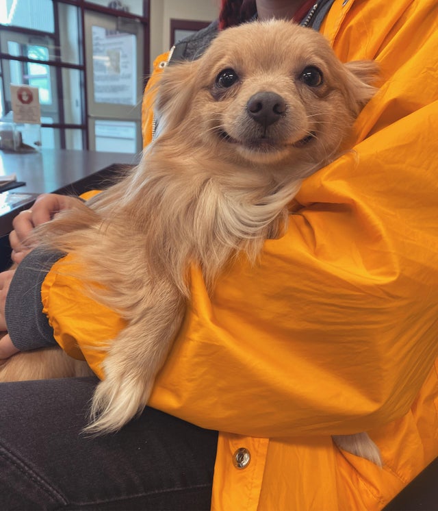 Мимишные фото от которых на душе станет теплее