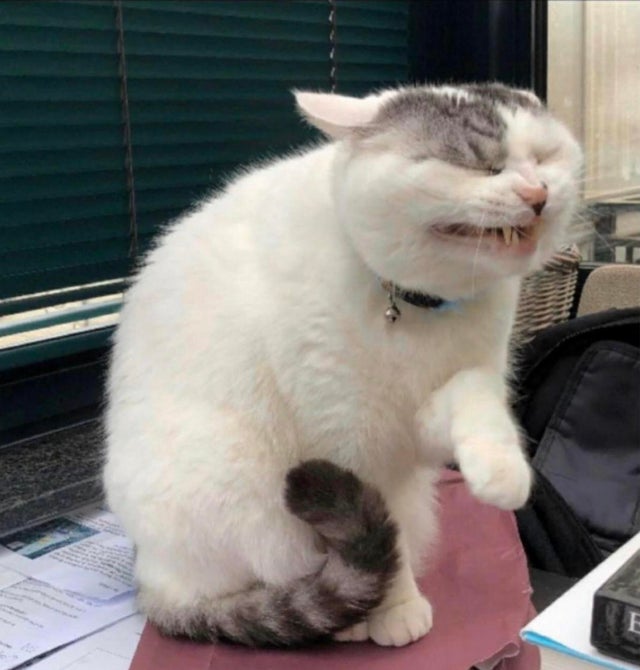 Мимишные фото от которых на душе станет теплее