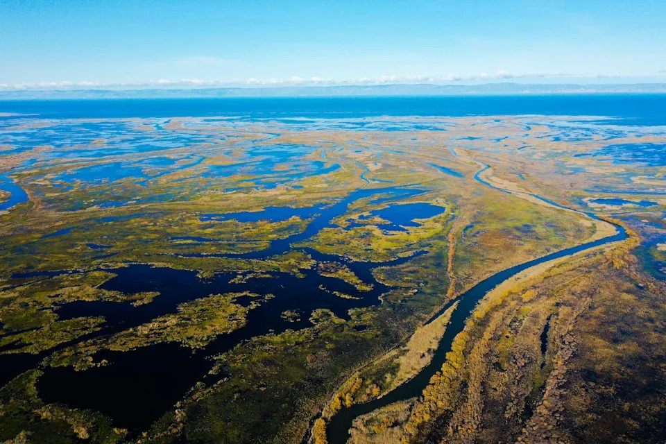 Кабанский заказник: маленький рай в дельте Селенги 