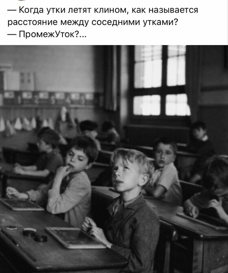 Бог говорит Адаму: “Пойди по этой дороге”... главная, страна, много, “А что такое, шлепанцы, чтобы, очень, представляете, людей, умирает, появляется, глазах, супруга, говорит, померяй, магазин, “Потом, увидишь, братан, Наташа