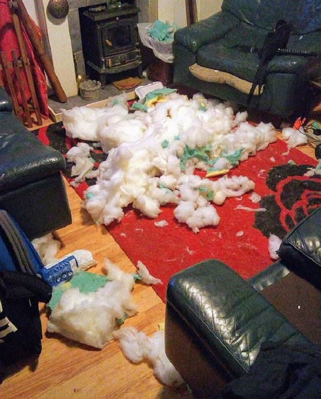 Разорванный диван