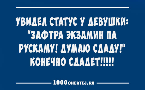 Всем смеяться в виброрежиме.))) Винегрет из шуток, статусов и приколов 