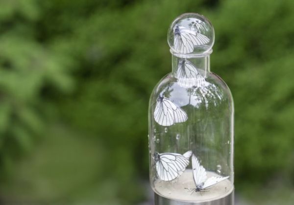 11 необычных способов применения уксуса на даче полезные советы,разное