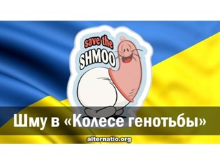 Шму в «Колесе генотьбы»