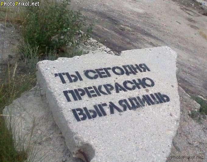 Картинки по запросу фото приколы с надписью