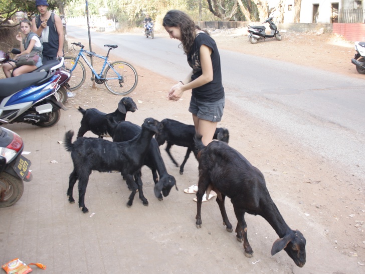 14 особенностей Гоа, о которых нужно знать, чтобы провести отпуск максимально круто 14 особенностей Гоа, о которых нужно знать, чтобы провести отпуск максимально круто заграница,отдых,отпуск,путешествие,туризм