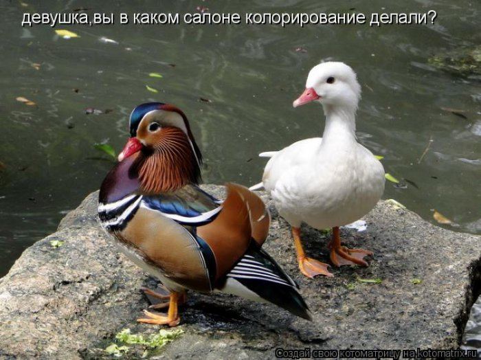 Мысли вслух :)