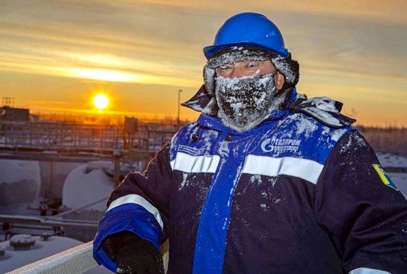 «Собирайте хворост!»: поляки осознали цену «плевков» в Россию на фоне кризиса