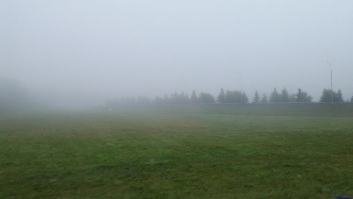 Густой туман накрыл Новосибирск утром 7 июля – самолеты не смогли приземлиться в «Толмачево»