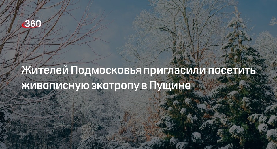 Жителей Подмосковья пригласили посетить живописную экотропу в Пущине