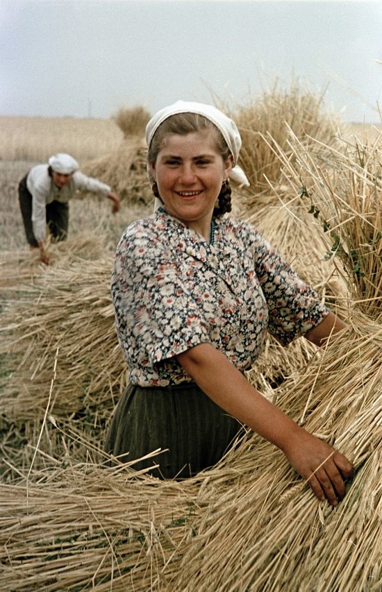 Трудовые будни: неизвестные цветные фото повседневной жизни в СССР 1950-х фотография, ссср