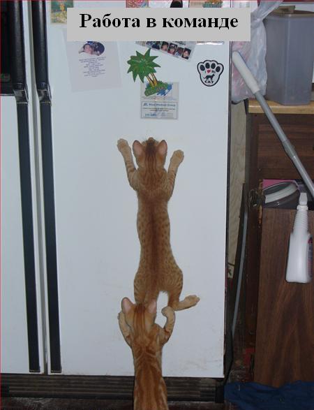 Мысли вслух :) Мысли вслух :)