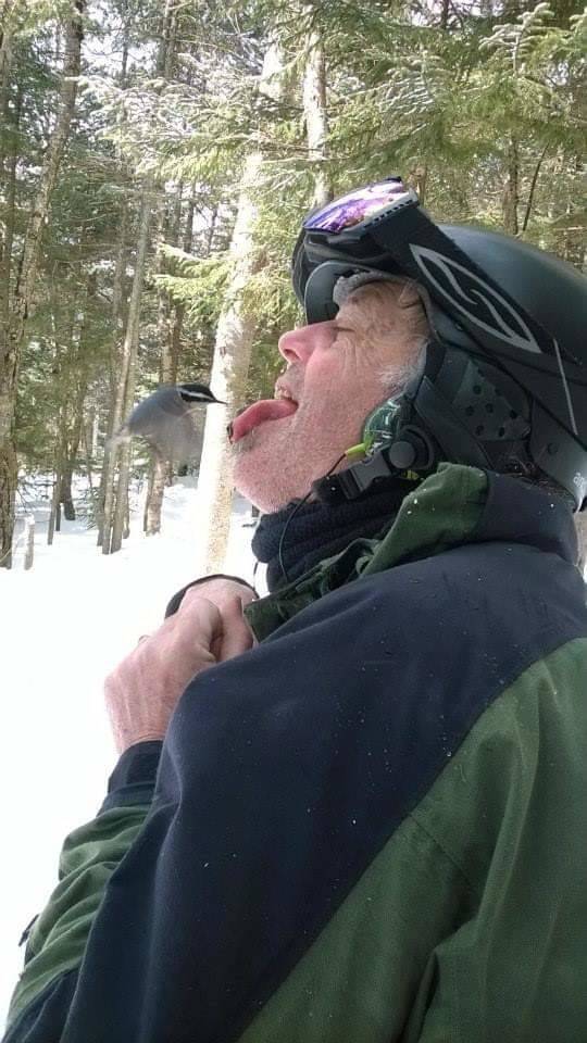 Забавные картинки для хорошего настроения Забавные картинки для хорошего настроения животные,жизнь,звери,земля,котики,коты,курьезы,мир,питомцы,планета,приколы,природа,смешное,собаки,факты,фауна,флора,щенки,юмор