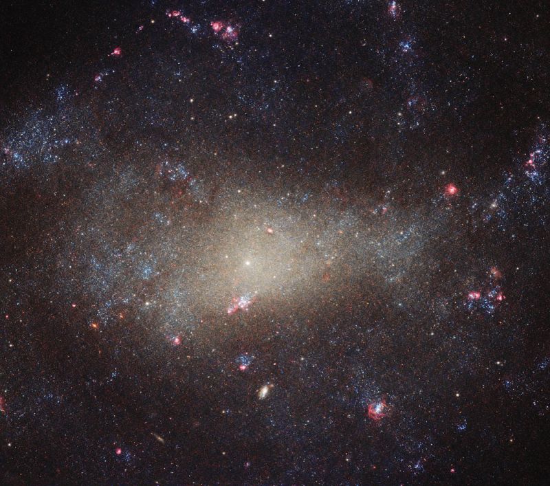  Хаббл сфотографировал галактику NGC 4242 в созвездии Гончих Псов