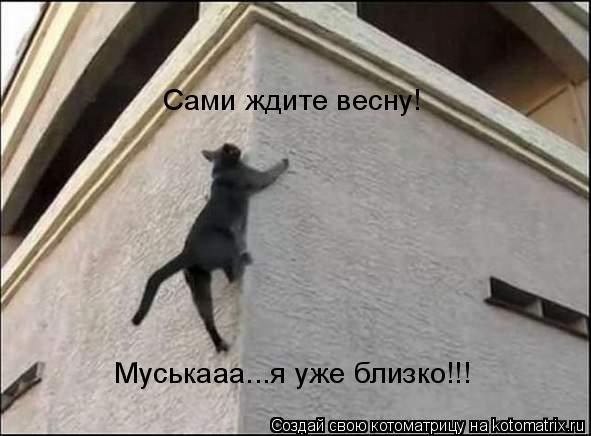 Мысли вслух :)