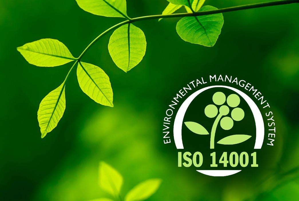 Экология и бизнес: что следует знать о внедрении ИСО 14001 в различных сферах
