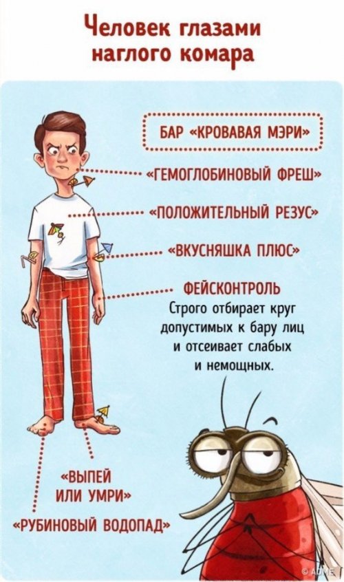 Человек глазами животных (9 фото)