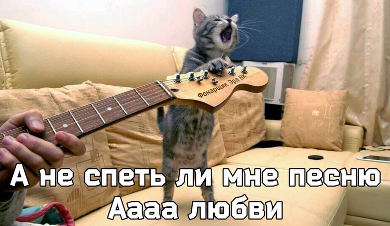 Лучших оправданий, чем обвинения, пока еще не придумали Лучших оправданий, чем обвинения, пока еще не придумали