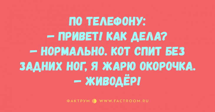 Двадцатка прикольных анекдотов, которые принесут вам позитивные эмоции