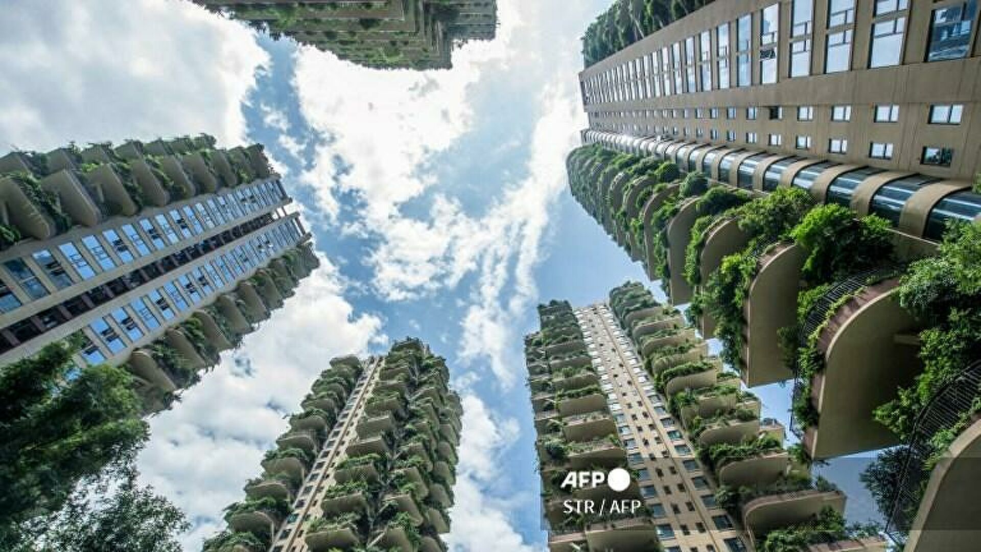 Экспериментальный проект зеленого жилья в городе Чэнду на юго-западе Китая - РИА Новости, 1920, 19.10.2021