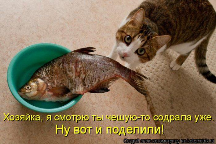 Мысли вслух :)