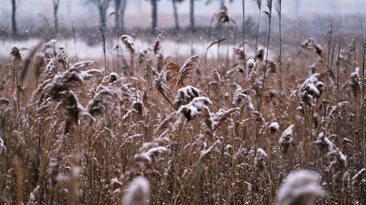 Циклон принес в Хабаровск минусовые температуры и первый снег