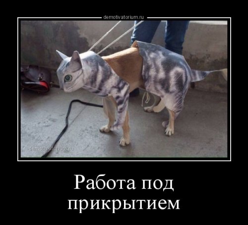Новая порция демотиваторов (12 фото)
