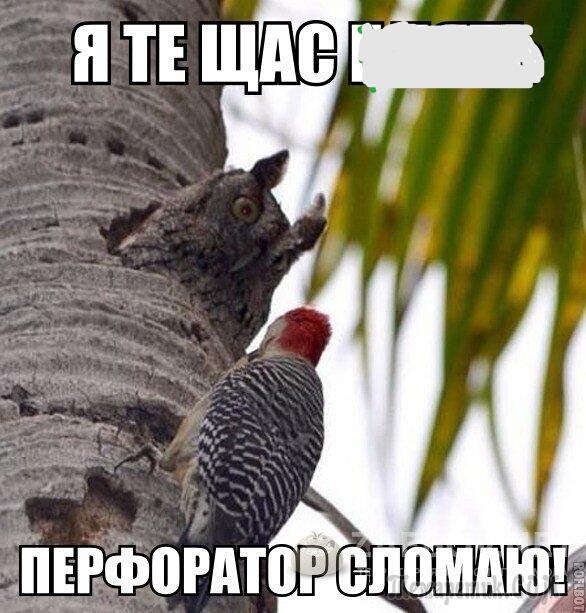 Учитель сказала детям дома написать сочинение про свою маму Учитель сказала детям дома написать сочинение про свою маму анекдоты